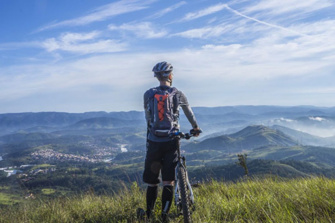 ENERO 2019 – Fijando las prioridades