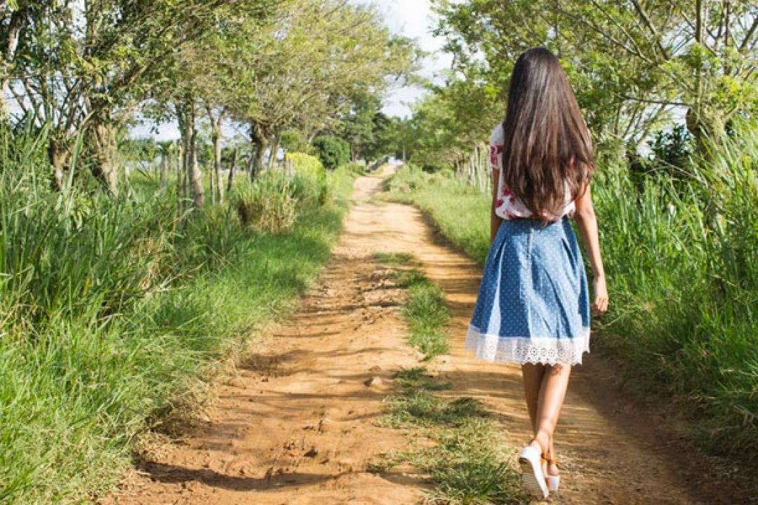 ENERO 2019 – Un proyecto profesional