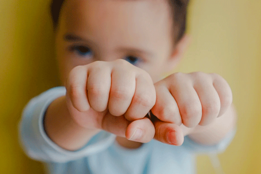 SEPTIEMBRE 2019 – Peleas en la infancia