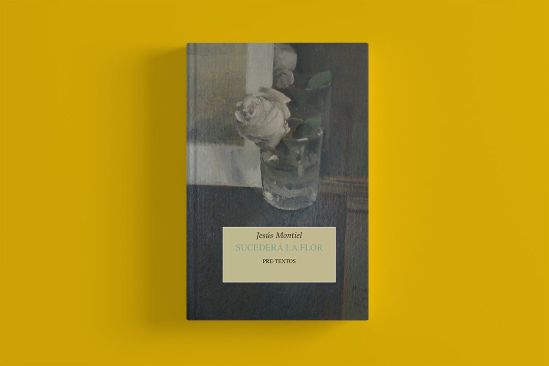 Febrero 2022: Sucederá la flor